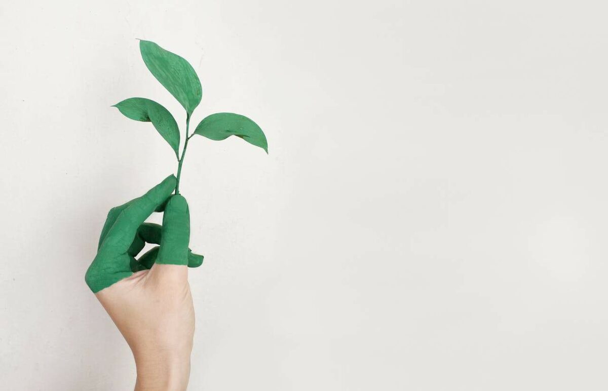 Gartner: Các CEO coi tính bền vững là cơ hội tăng trưởng