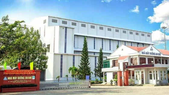 Đường Quảng Ngãi đẩy nhanh dự án ethanol 65 triệu USD, đặt cược vào nhiên liệu sinh học
