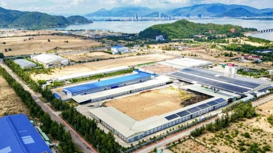 Tỉnh miền Trung Việt Nam chấp thuận dự án chế biến gỗ 12 triệu USD của nhà đầu tư Hồng Kông